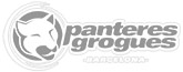 Panteres Grogues